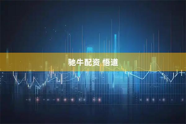 驰牛配资 悟道