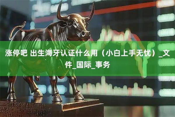 涨停吧 出生海牙认证什么用（小白上手无忧）_文件_国际_事务