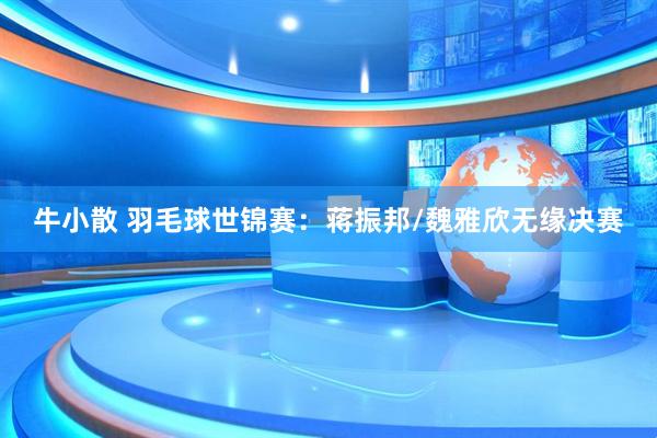 牛小散 羽毛球世锦赛：蒋振邦/魏雅欣无缘决赛