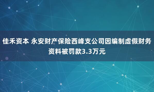 佳禾资本 永安财产保险西峰支公司因编制虚假财务资料被罚款3.3万元